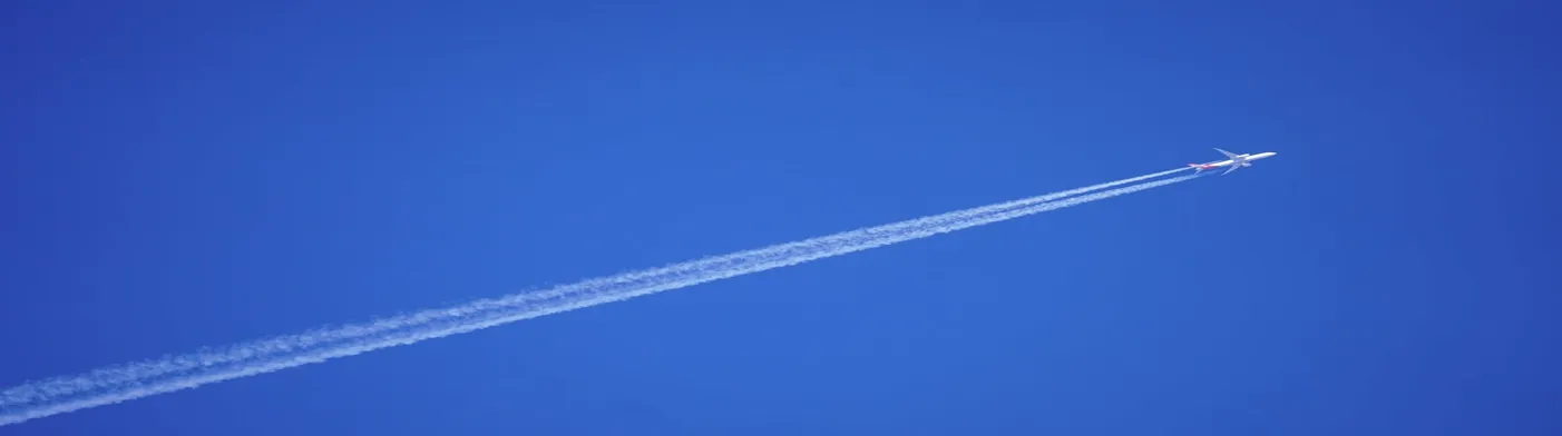 법무법인 서앤율