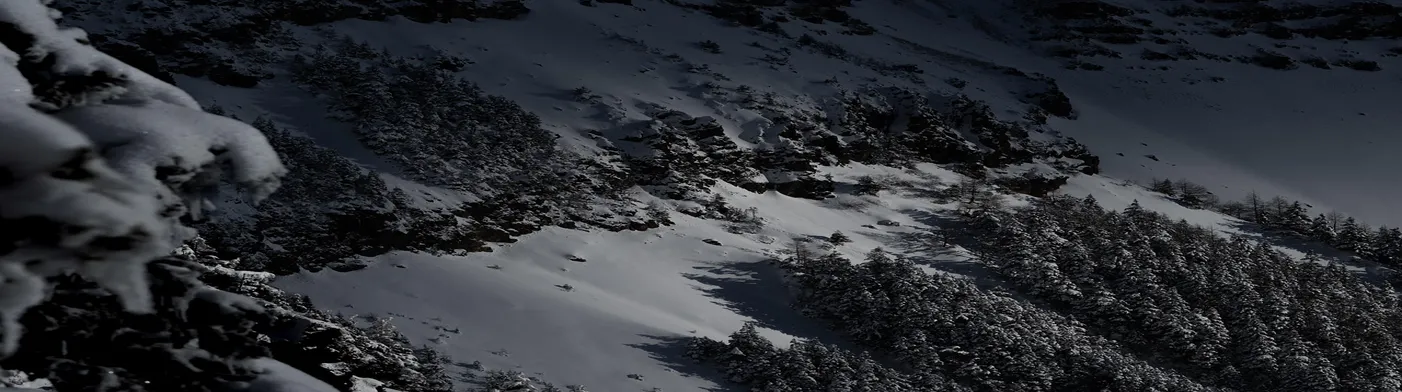 법무법인 서앤율