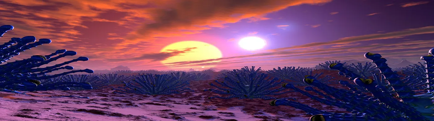 법무법인 서앤율